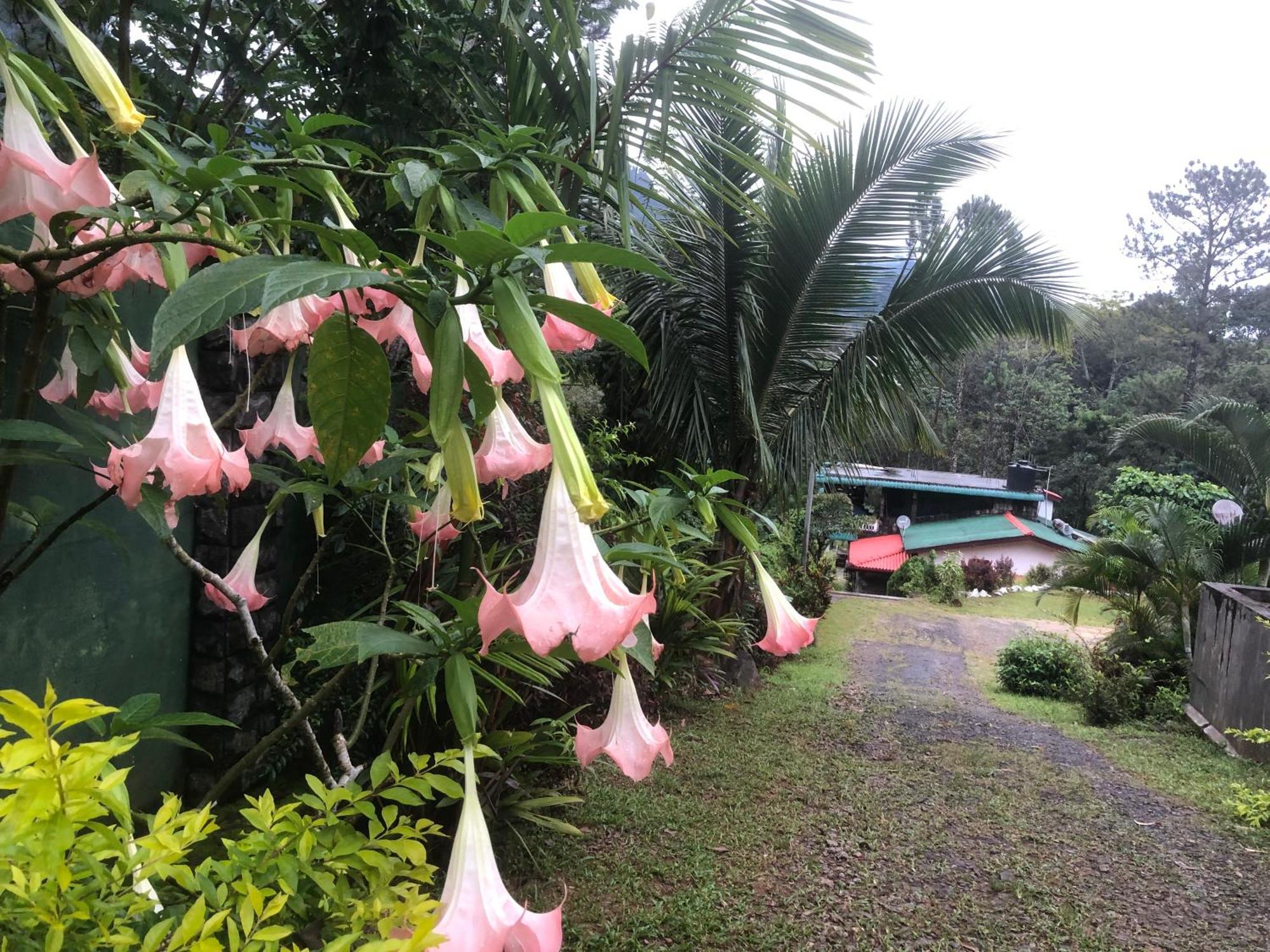 Hamadhi Guest Hotel Haldummulla Luaran gambar