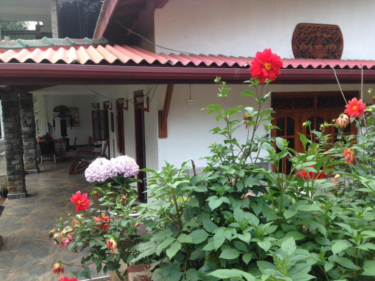 Hamadhi Guest Hotel Haldummulla Luaran gambar